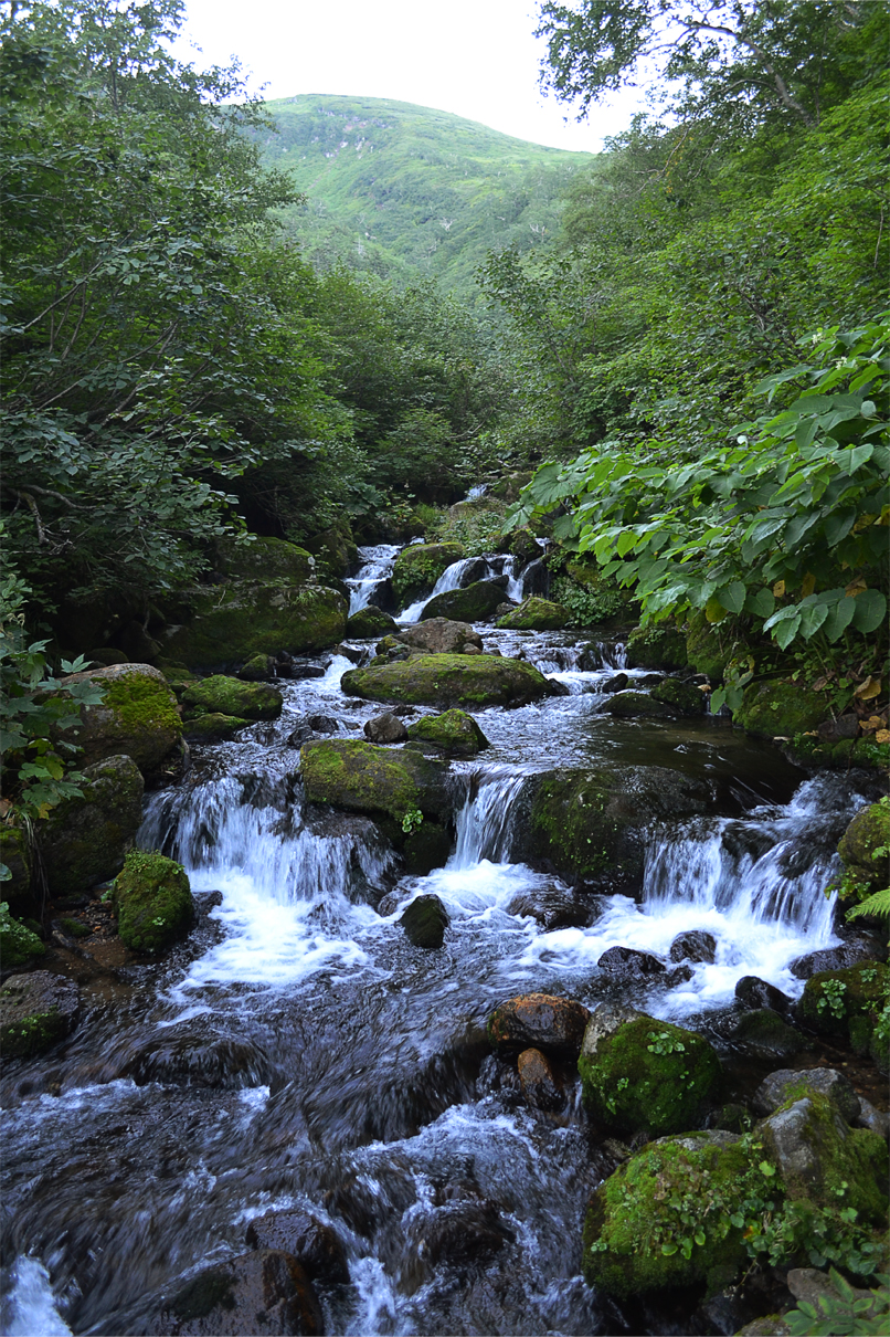 愛山渓温泉 永山岳 比布岳 安足間岳 当麻岳 沼ノ平 北海道そとあそびノート